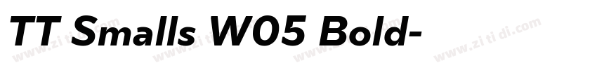TT Smalls W05 Bold字体转换